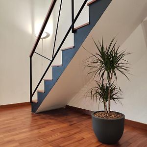 Habitación Superior con Cama King